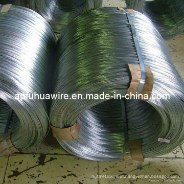 Electro / Hot Dipped Galvanized Steel Wire Factory
